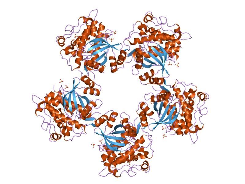 File:PDB 1ias EBI.jpg