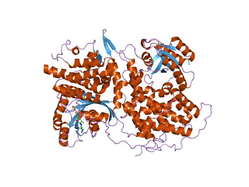 File:PDB 1nvx EBI.jpg