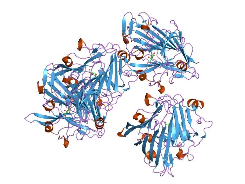 File:PDB 1so0 EBI.jpg