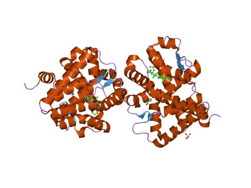 File:PDB 1sr7 EBI.jpg