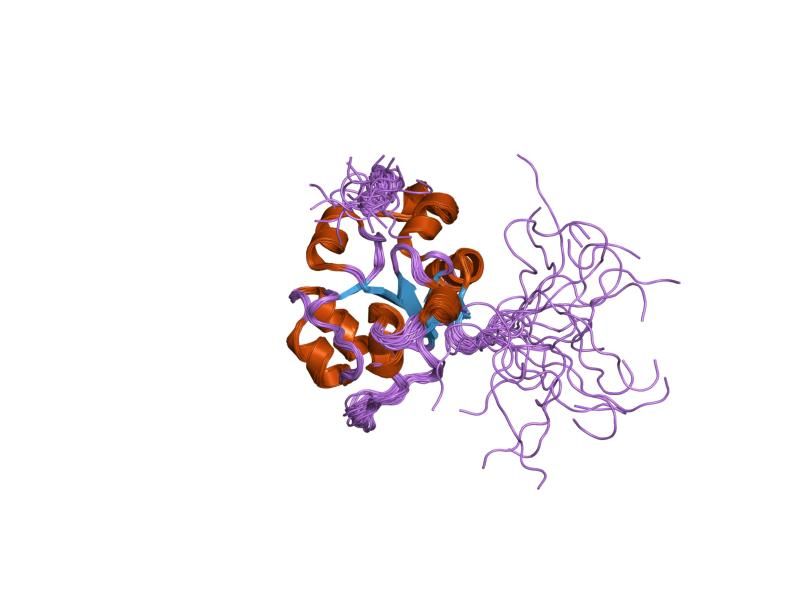 File:PDB 1whb EBI.jpg