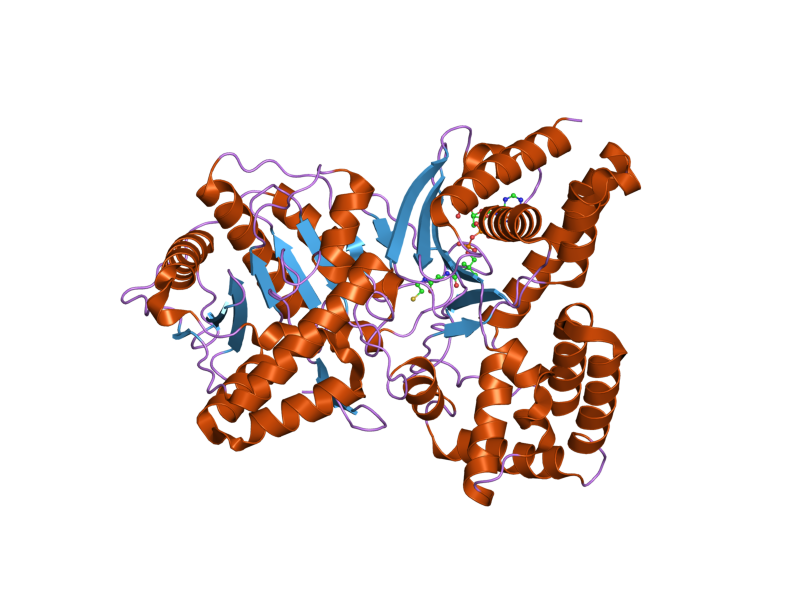 File:PDB 2fy4 EBI.png