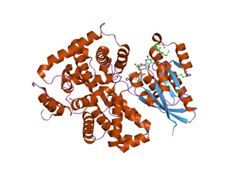 File:PDB 2g77 EBI.jpg