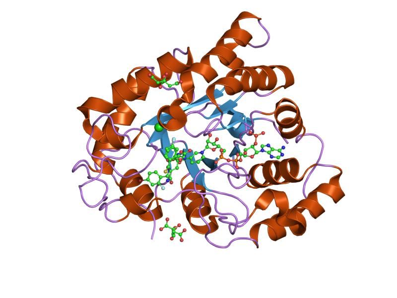 File:PDB 2pfh EBI.jpg