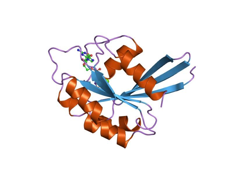 File:PDB 3rab EBI.jpg