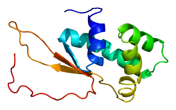 File:Protein MRPL17 PDB 2cqm.png