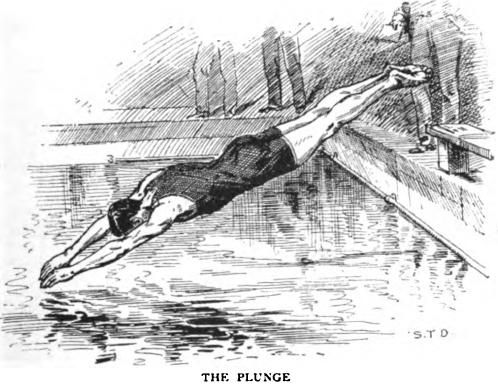 File:The Plunge Sinclair 1893.jpg