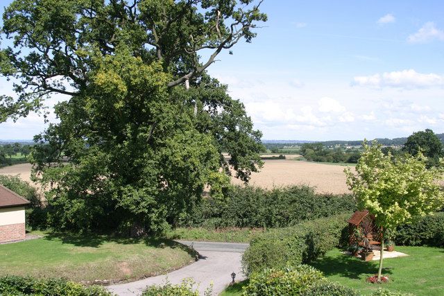 File:Clutton - High Cross Lane.jpg