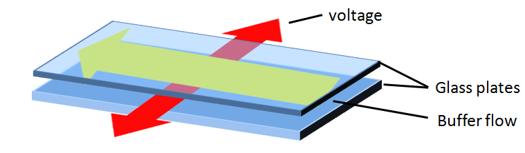 File:Free Flow Electrophoresis Scheme.png