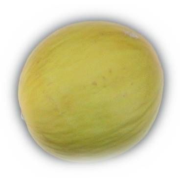 File:Melon.jpg