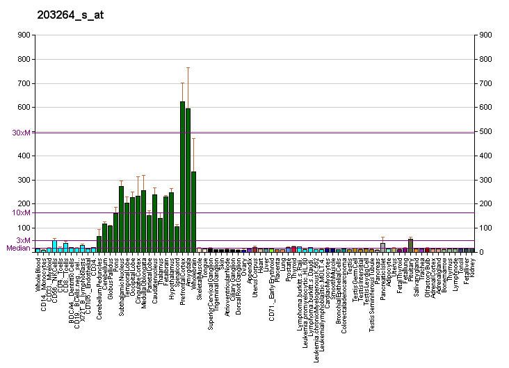 File:PBB GE ARHGEF9 203264 s at fs.png