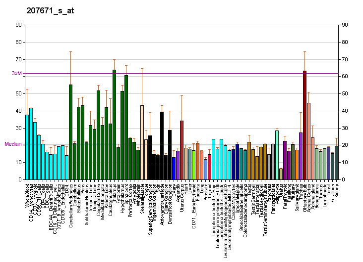 File:PBB GE BEST1 207671 s at fs.png