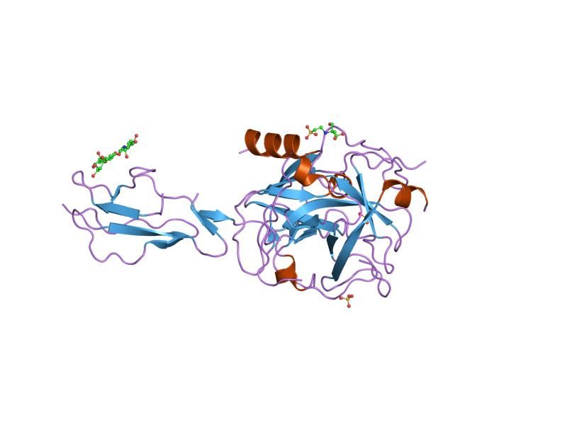 File:PDB 1elv EBI.jpg