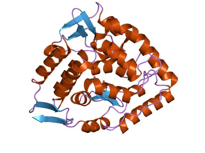 File:PDB 1j8u EBI.jpg