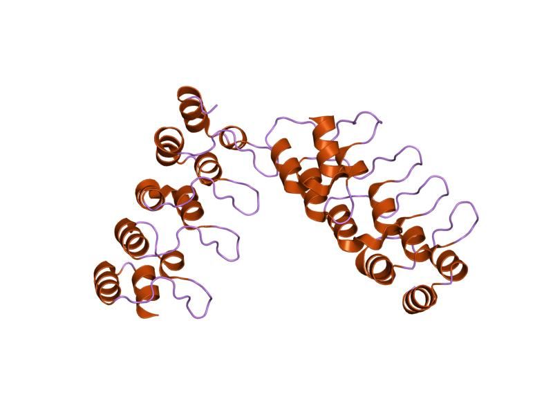 File:PDB 1mx6 EBI.jpg