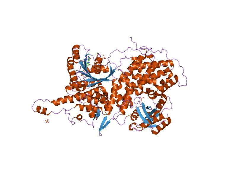 File:PDB 1nvv EBI.jpg