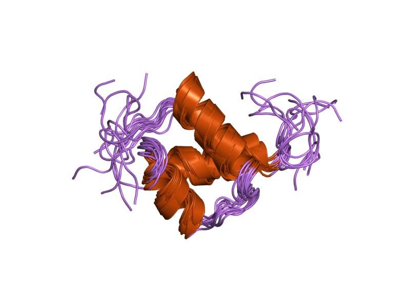 File:PDB 1pog EBI.jpg