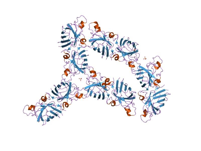 File:PDB 1pu0 EBI.jpg