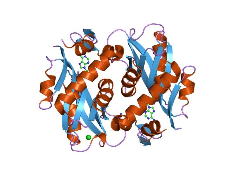 File:PDB 1zn8 EBI.jpg