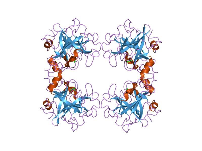 File:PDB 2fww EBI.jpg