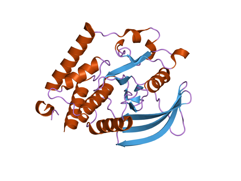 File:PDB 2oc3 EBI.png