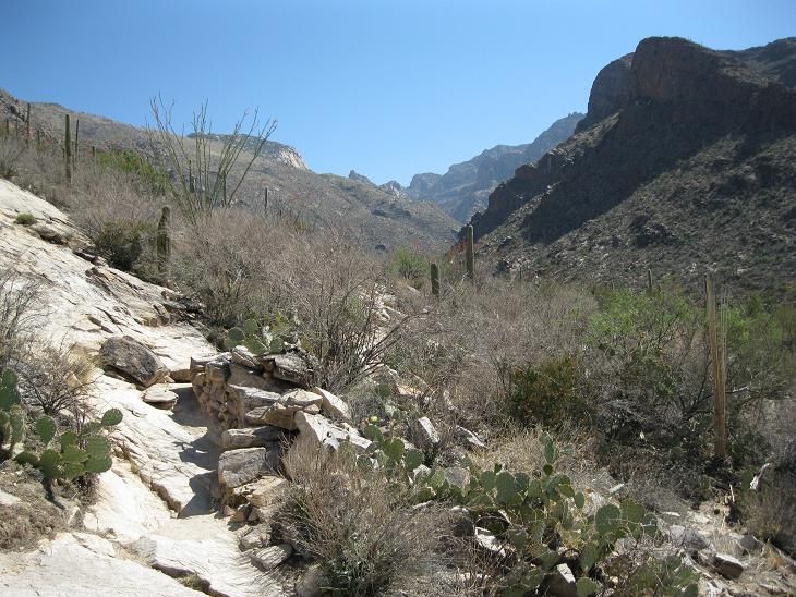 File:Pima Canyon Trail Canyon Mouth.JPG