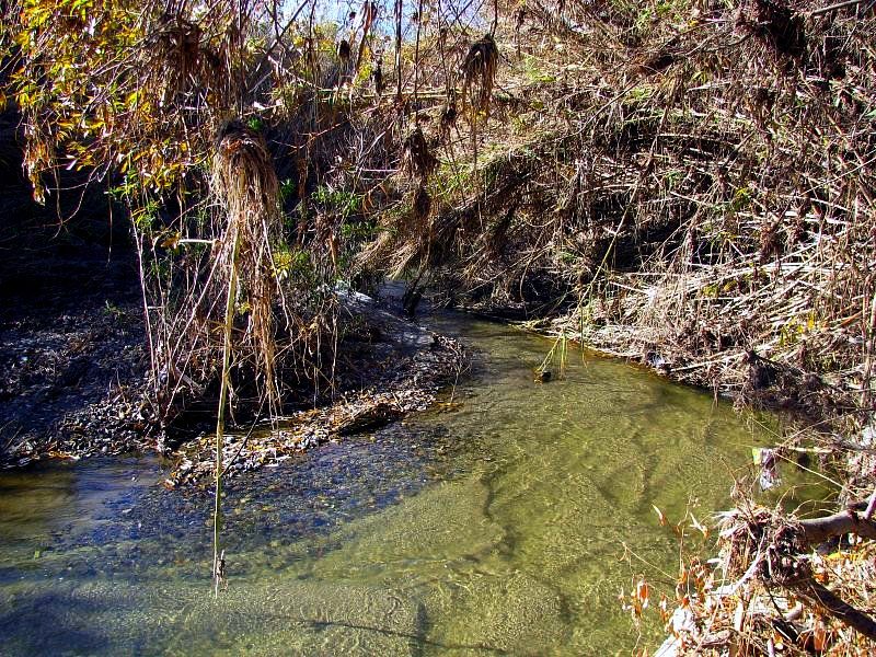 File:Aliso Creek headwaters.jpg