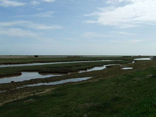 File:Boyton Marshes - geograph.org.uk - 1298304.jpg