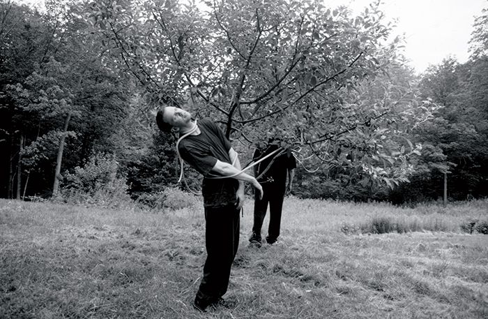 File:Hanging from trees, Lenore Malin, 2005.jpg