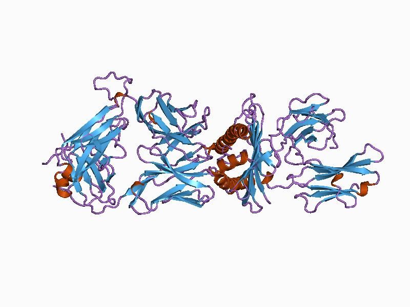 File:PDB 1bd2 EBI.jpg