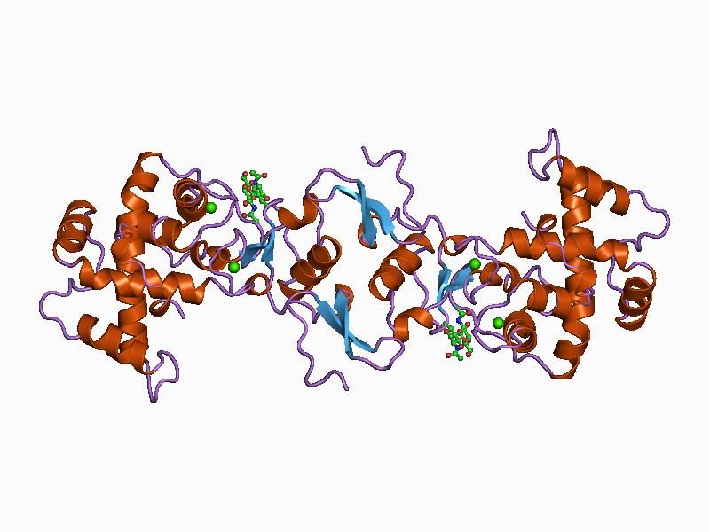 File:PDB 1bmo EBI.jpg