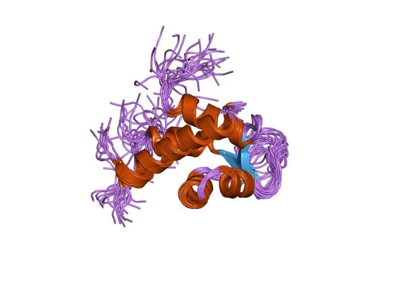 File:PDB 1h8b EBI.jpg