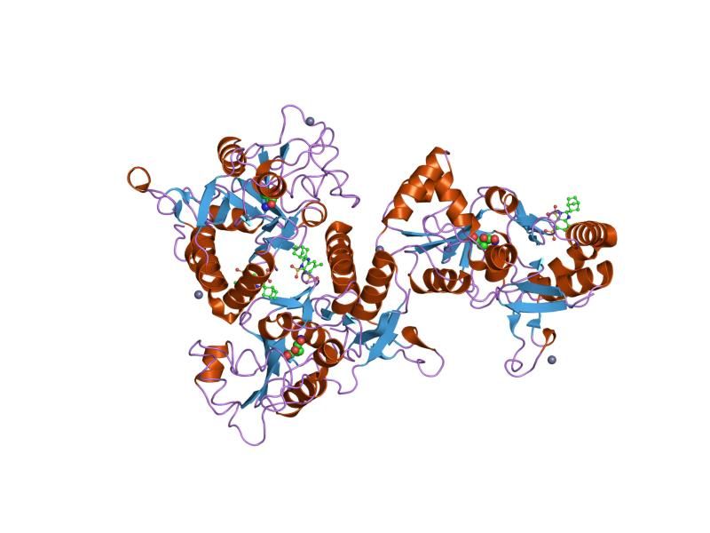 File:PDB 1lbc EBI.jpg