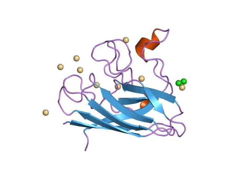 File:PDB 1mfm EBI.jpg