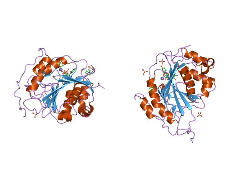 File:PDB 1o0r EBI.jpg