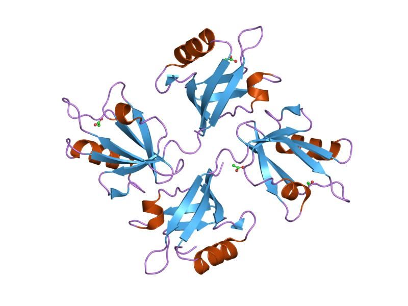 File:PDB 1obz EBI.jpg