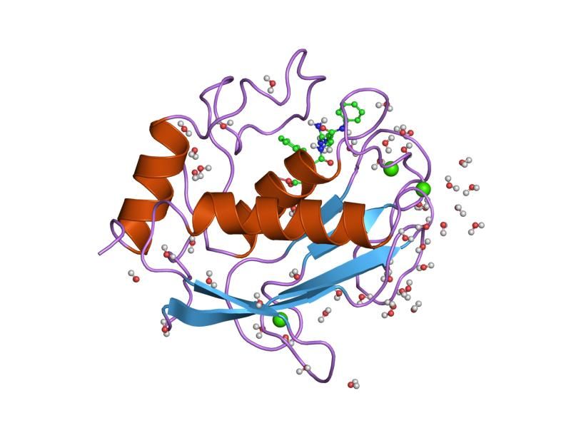 File:PDB 1sln EBI.jpg