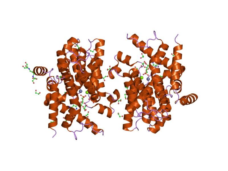 File:PDB 1tb7 EBI.jpg