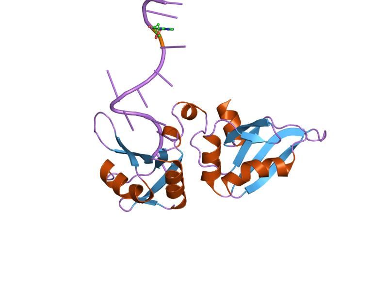 File:PDB 1u1n EBI.jpg