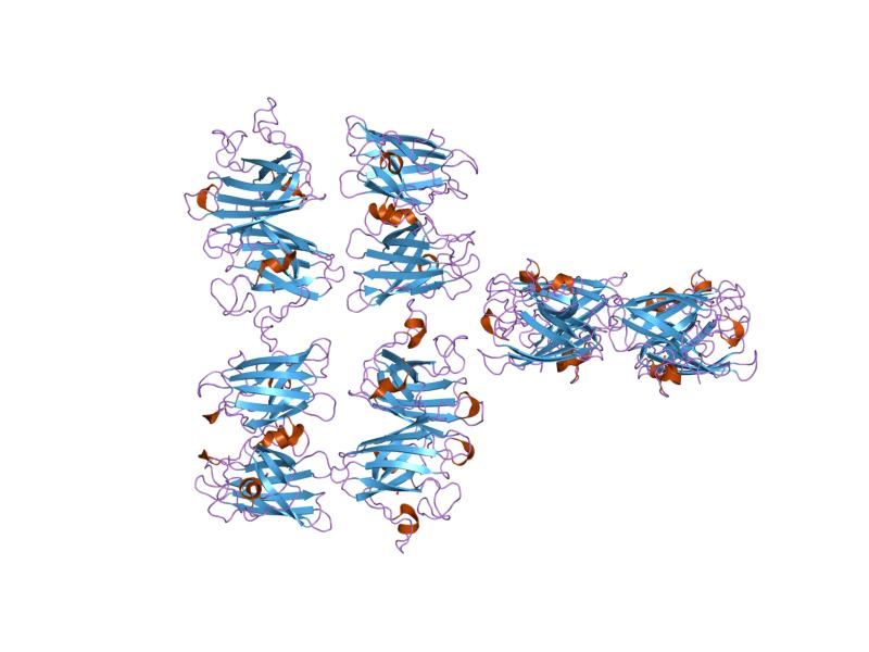 File:PDB 1uxm EBI.jpg