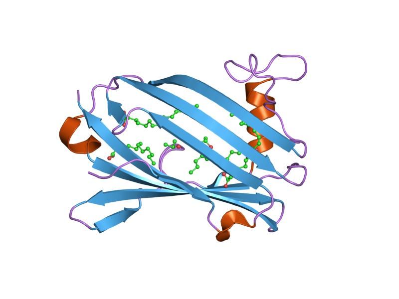 File:PDB 2af9 EBI.jpg