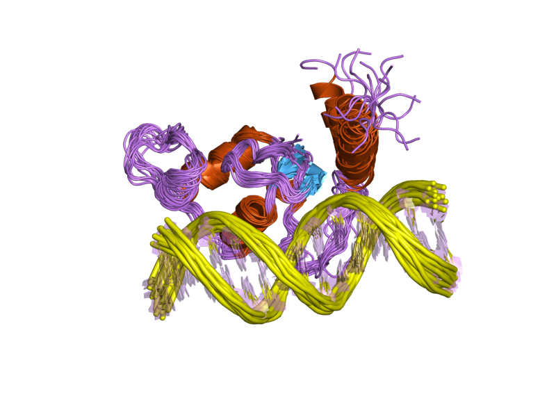 File:PDB 2ff0 EBI.png