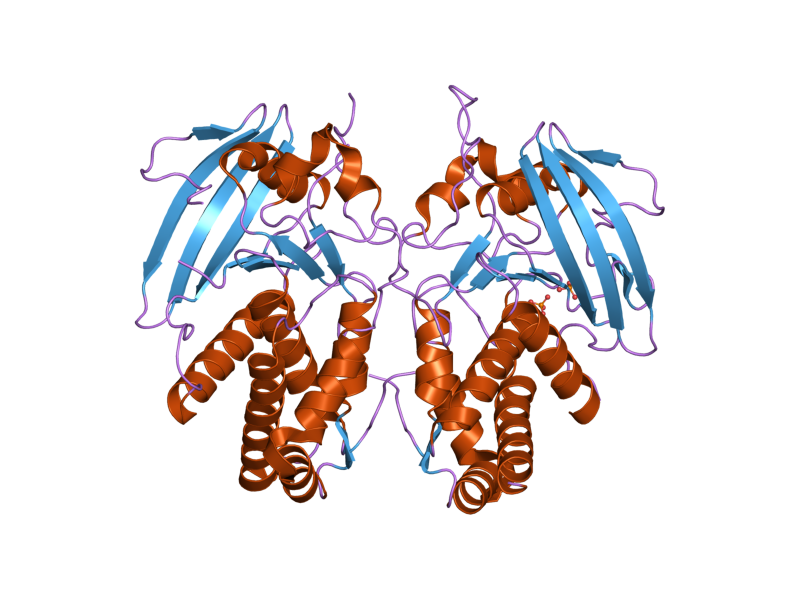 File:PDB 2g59 EBI.png