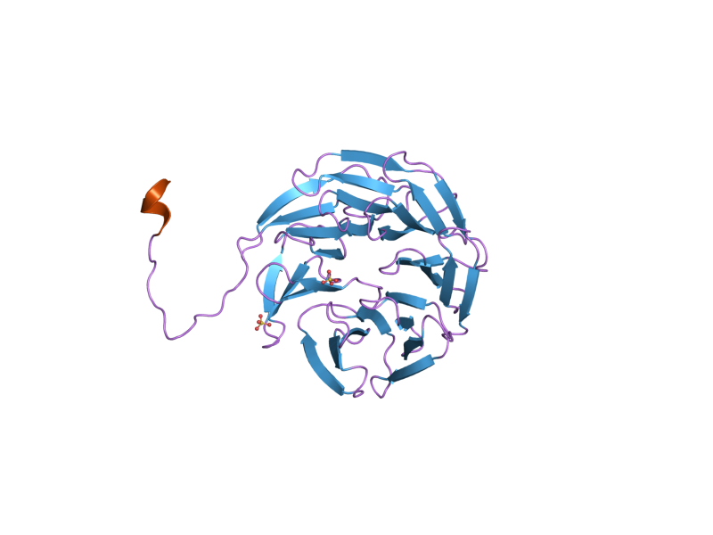 File:PDB 2h9l EBI.png