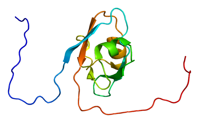 File:Protein DLG5 PDB 1uit.png