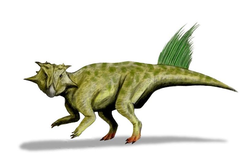 File:Psittacosaurus sibiricus whole BW.jpg