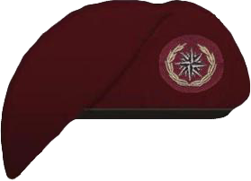 File:Recce Beret 2.png