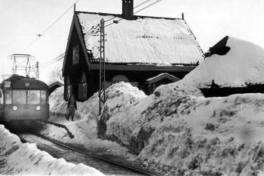 File:Skogen1951oslobyarkiv.jpg