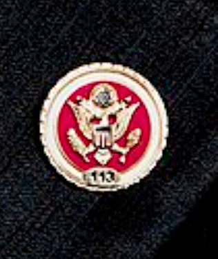 File:113th Congress House Member Pin.png