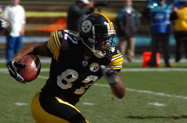 File:Antwaan Randle El 2006.jpg